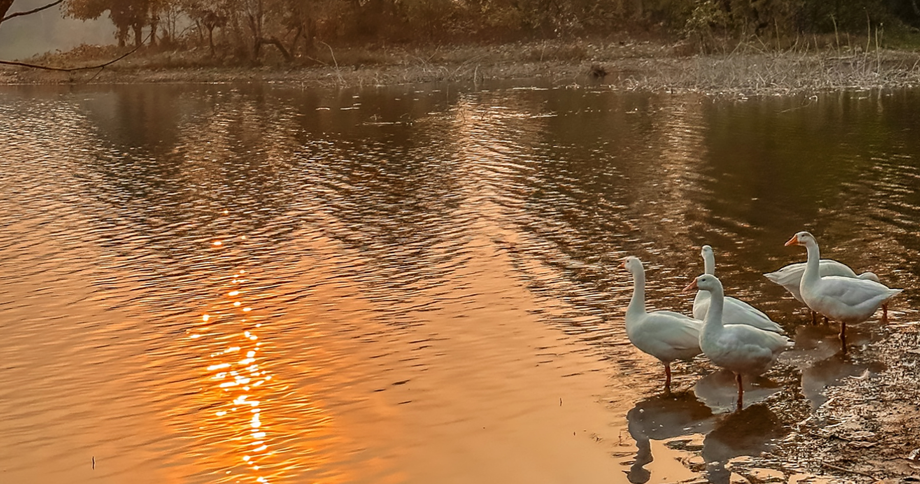 Birdwatching at Khoka Lake